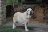 Filename=bimbi005.jpg
Filesize=144KiB
Dimensions=900x602
Date added=%592 %29, %2009 bimbi005.jpg