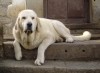Filename=bimbi104.jpg
Filesize=303KiB
Dimensions=1000x731
Date added=%548 %03, %2008 bimbi104.jpg
