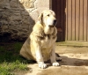 Filename=diana22_jpg.jpg
Filesize=126KiB
Dimensions=800x680
Date added=%905 %21, %2008 diana22_jpg.jpg