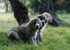 Filename=los-3-3.jpg
Filesize=214KiB
Dimensions=992x719
Date added=%626 %03, %2007 los-3-3.jpg