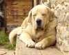 Filename=zeus1003.jpg
Filesize=278KiB
Dimensions=900x726
Date added=%546 %03, %2008 zeus1003.jpg