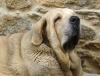 Filename=zeus336_jpg.jpg
Filesize=111KiB
Dimensions=616x472
Date added=%667 %03, %2009 zeus336_jpg.jpg