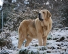 Filename=zeusnieve01.jpg
Filesize=267KiB
Dimensions=900x720
Date added=%840 %11, %2010 zeusnieve01.jpg