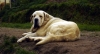 Filename=zeusz4.jpg
Filesize=249KiB
Dimensions=900x487
Date added=%859 %27, %2008 zeusz4.jpg