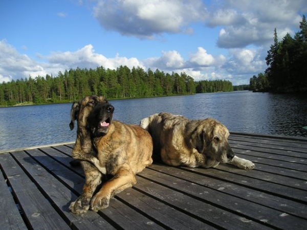 Leona and Leevi July 2007
Nice sunny day in Finland July 2007
Keywords: HÃ¤kkinen