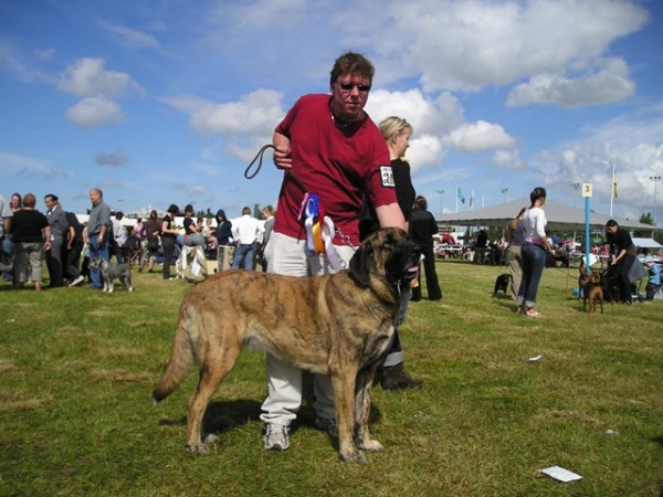 Leona Summer 2007 Pori Finland
First CACIB,CAC and BOB to "Leona" (Harem Ulmaf Kabo-Kallis)
Keywords: HÃ¤kkinen show Winner