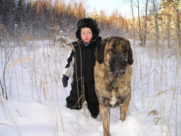 Nico 3,1 year and Leona  (HAREM ULMAF KABO-KALLIS) 13 month
Keywords: HÃ¤kkinen kids snow