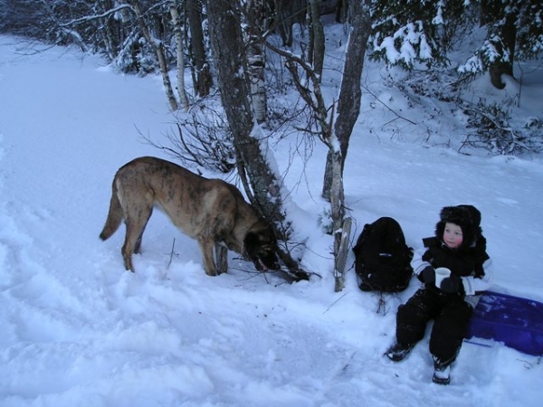 Cocoa moment
Nico 3,1 year and Leona 13 month
Keywords: HÃ¤kkinen snow nieve