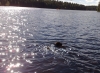 Filename=24072008056.jpg
Filesize=102KiB
Dimensions=640x473
Date added=%853 %27, %2008 24072008056.jpg