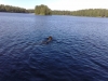 Filename=29072008077.jpg
Filesize=75KiB
Dimensions=640x480
Date added=%794 %29, %2008 29072008077.jpg