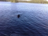 Filename=29072008078.jpg
Filesize=83KiB
Dimensions=640x480
Date added=%794 %29, %2008 29072008078.jpg