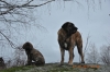 Filename=DSC_0090_2.jpg
Filesize=208KiB
Dimensions=640x428
Date added=%625 %21, %2011 DSC_0090_2.jpg