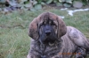 Filename=DSC_0121_2.jpg
Filesize=178KiB
Dimensions=640x428
Date added=%626 %21, %2011 DSC_0121_2.jpg