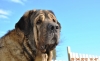 Filename=DSC_0176_mastn.jpg
Filesize=124KiB
Dimensions=640x392
Date added=%731 %29, %2012 DSC_0176_mastn.jpg