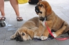 Filename=DSC_03541.jpg
Filesize=120KiB
Dimensions=640x428
Date added=%361 %10, %2014 DSC_03541.jpg