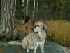 Filename=Picture_028.jpg
Filesize=393KiB
Dimensions=1024x768
Date added=%771 %23, %2006 Picture_028.jpg
