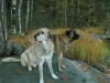 Filename=Picture_032.jpg
Filesize=449KiB
Dimensions=1024x768
Date added=%771 %23, %2006 Picture_032.jpg