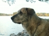 Filename=Picture_045.jpg
Filesize=263KiB
Dimensions=1024x768
Date added=%771 %23, %2006 Picture_045.jpg