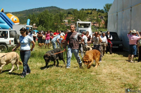 Fiesta de La Trashumancia - Prioro, León, Spain 28.06.2008
الكلمات الإستدلالية(لتسهيل البحث): zumbos