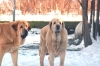 Filename=DSC_0316.JPG
Filesize=137KiB
Dimensions=672x446
Date added=%091 %28, %2007 DSC_0316.JPG