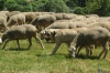 Filename=Prioro-2008,.jpg
Filesize=146KiB
Dimensions=1075x714
Date added=%554 %25, %2008 Prioro-2008,.jpg