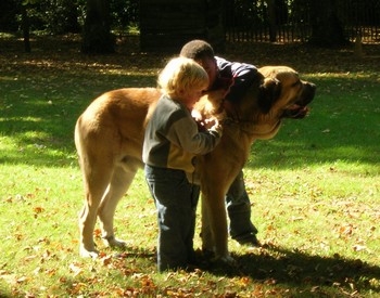 Kromagnon Tornado Erben and children
very busy children ! 
Keywords: kromagnon tornado erben children