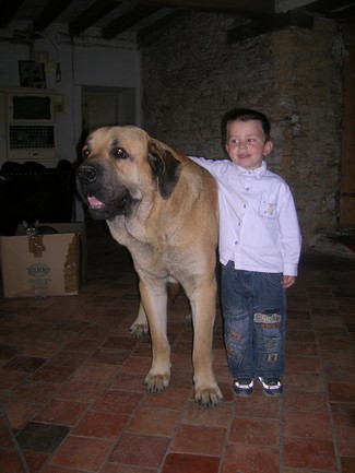 Kromagnon 15 mois et Samuel 3 ans 1/2
Kromagnon and his favourite friend
Keywords: kromagnon kids children