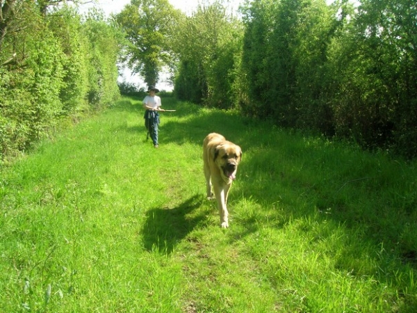 treck with Kromagnon 
it is a long way to home !!!!!!
Keywords: kromagnon bande-Ã -gro camelia