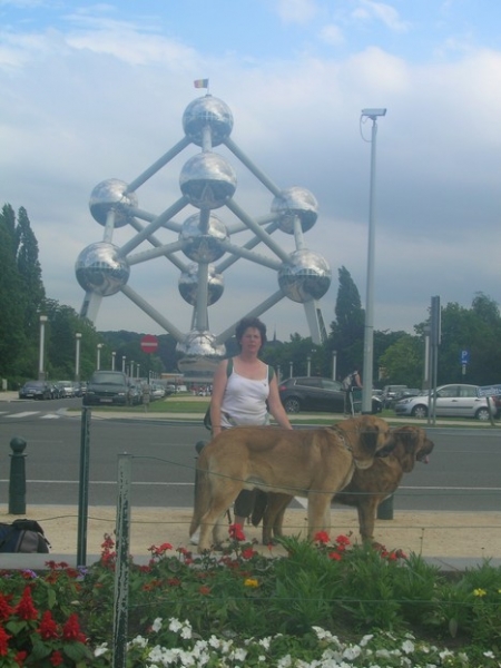 kromagnon and Agua 
in front the Atomium of Brussel
Keywords: kromagnon bande-Ã -gro camelia