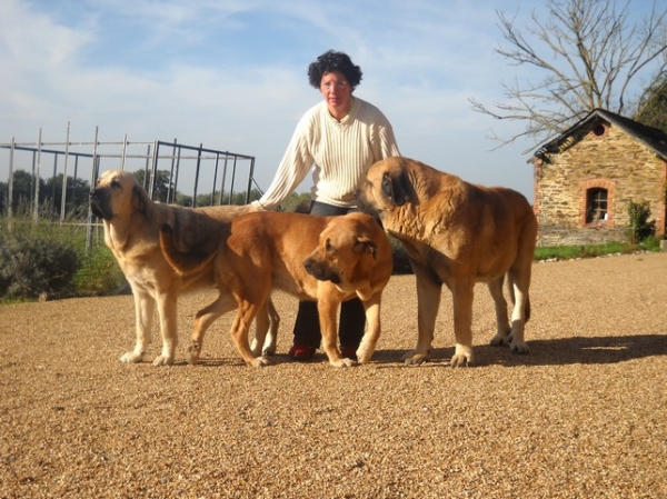 mes trois gros
Keywords: Kromagnon Camelia manchas