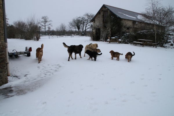  La Bande à Gro
first snow in France ( and only one for the year ?)
Keywords: kromagnon La Bande Ã  Gro