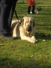 Filename=2009_02_15_camelia_sleep_.jpg
Filesize=129KiB
Dimensions=467x622
Date added=%922 %15, %2009 2009_02_15_camelia_sleep_.jpg