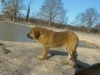 Filename=2010_mars_manchas2.jpg
Filesize=116KiB
Dimensions=604x453
Date added=%785 %23, %2010 2010_mars_manchas2.jpg