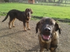 Filename=2014-12-28_11_25_02.jpg
Filesize=278KiB
Dimensions=859x644
Date added=%858 %12, %2015 2014-12-28_11_25_02.jpg