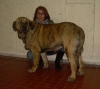 Filename=Aya_du_domaine_de_runneval_COF_.jpg
Filesize=98KiB
Dimensions=520x464
Date added=%906 %30, %2009 Aya_du_domaine_de_runneval_COF_.jpg