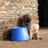 Filename=Goodie_9_semainesS.jpg
Filesize=151KiB
Dimensions=605x602
Date added=%476 %02, %2012 Goodie_9_semainesS.jpg