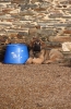 Filename=Goodie__S.jpg
Filesize=159KiB
Dimensions=481x740
Date added=%475 %02, %2012 Goodie__S.jpg
