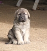 Filename=Greg_6_sem.jpg
Filesize=104KiB
Dimensions=569x612
Date added=%474 %02, %2012 Greg_6_sem.jpg