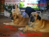 Filename=carte_2011.jpg
Filesize=153KiB
Dimensions=785x612
Date added=%837 %21, %2010 carte_2011.jpg
