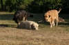 Filename=debout_came.jpg
Filesize=161KiB
Dimensions=727x485
Date added=%884 %02, %2011 debout_came.jpg