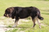 Filename=drenko_20mois.jpg
Filesize=196KiB
Dimensions=878x585
Date added=%866 %02, %2012 drenko_20mois.jpg