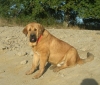 Filename=erodes_8_mois_1.jpg
Filesize=154KiB
Dimensions=589x503
Date added=%388 %22, %2009 erodes_8_mois_1.jpg