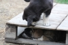 Filename=fay_et_f3.jpg
Filesize=203KiB
Dimensions=1188x792
Date added=%696 %04, %2013 fay_et_f3.jpg