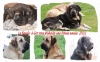 Filename=image.jpg
Filesize=190KiB
Dimensions=960x600
Date added=%848 %31, %2012 image.jpg