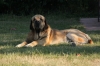 Filename=kro.jpg
Filesize=110KiB
Dimensions=727x485
Date added=%885 %02, %2011 kro.jpg