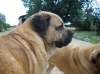 Filename=kro_4_ans.jpg
Filesize=185KiB
Dimensions=819x614
Date added=%765 %18, %2010 kro_4_ans.jpg