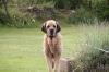 Filename=kromagnon.jpg
Filesize=162KiB
Dimensions=878x585
Date added=%465 %16, %2012 kromagnon.jpg