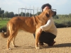 Filename=manchas2.jpg
Filesize=229KiB
Dimensions=876x657
Date added=%751 %08, %2010 manchas2.jpg
