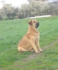 Filename=manchas_8_month.jpg
Filesize=81KiB
Dimensions=491x598
Date added=%838 %07, %2010 manchas_8_month.jpg