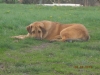 Filename=manchas_8mois.jpg
Filesize=108KiB
Dimensions=614x461
Date added=%837 %07, %2010 manchas_8mois.jpg
